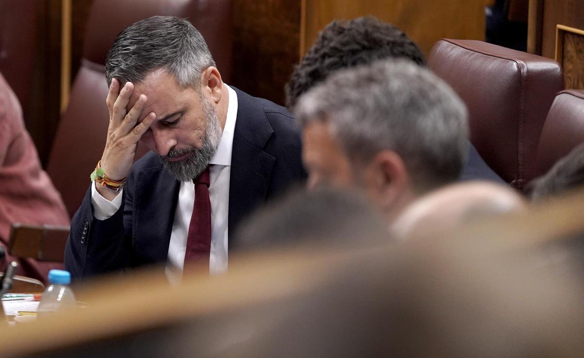 Abascal tanca el curs més convuls de Vox resistint els crítics