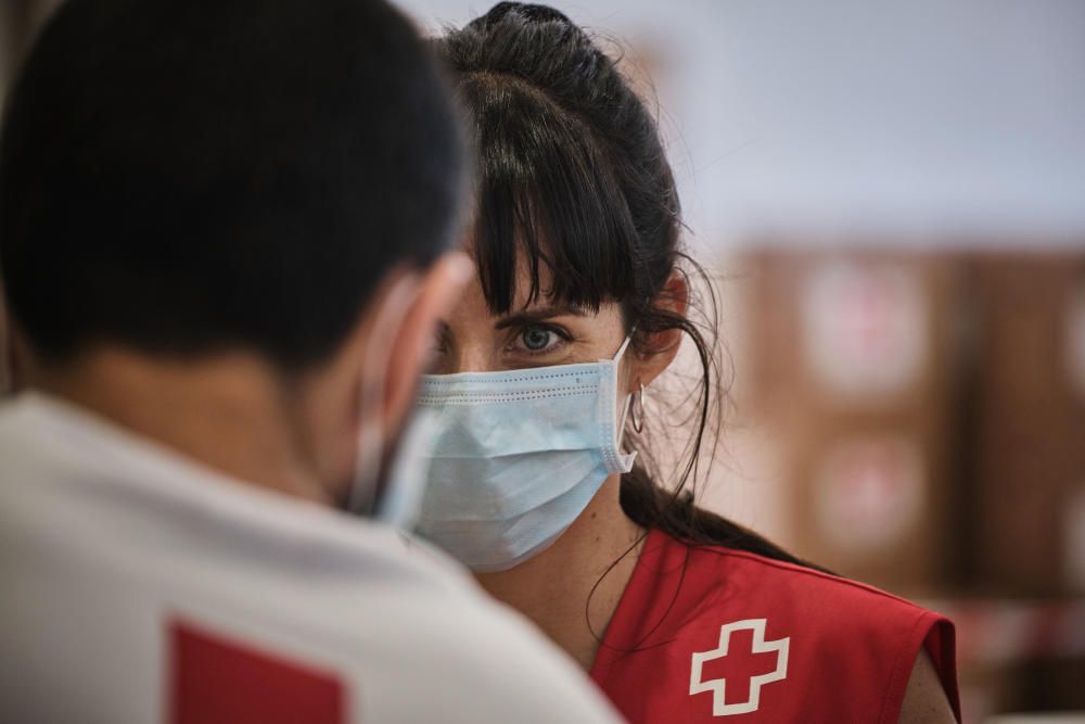 Proyecto Promoción de Éxito Escolar de Cruz Roja