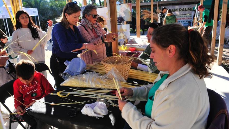 Trenzado de palma blanca en uno de los talleres organizados por la fiesta del Palmeral en Elche