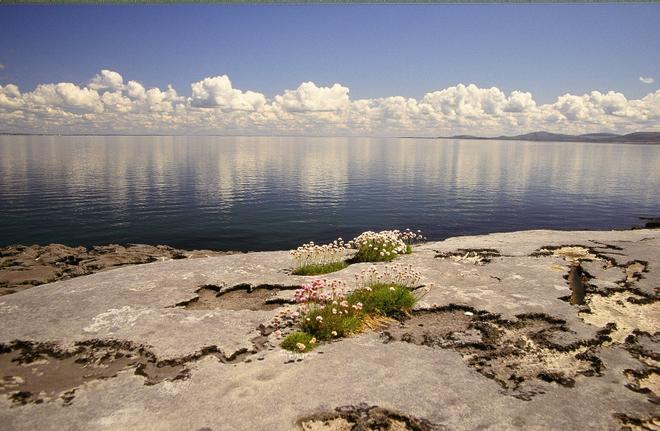 Parque Geológico Burren