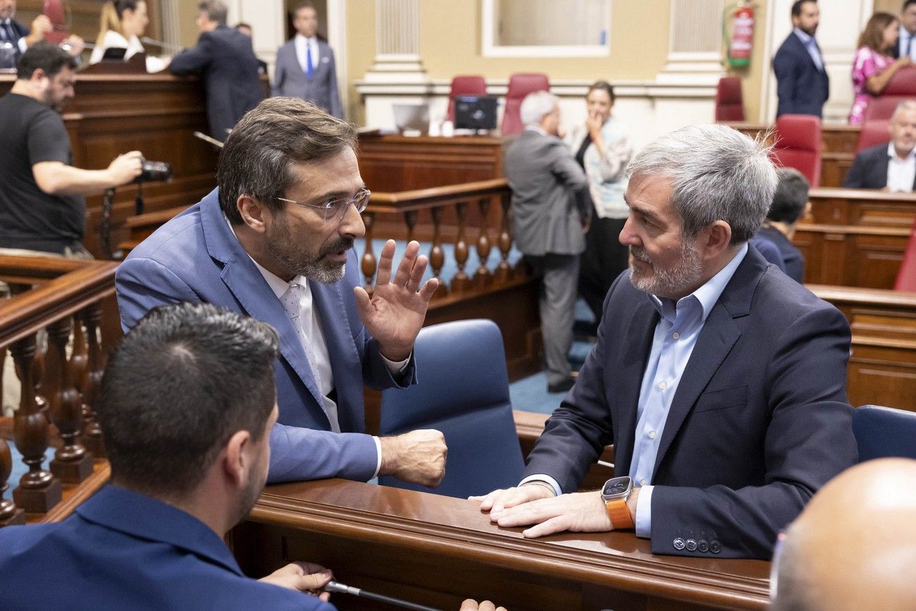 El Parlamento designa a Valbuena, San Ginés y Australia Navarro como senadores autonómicos