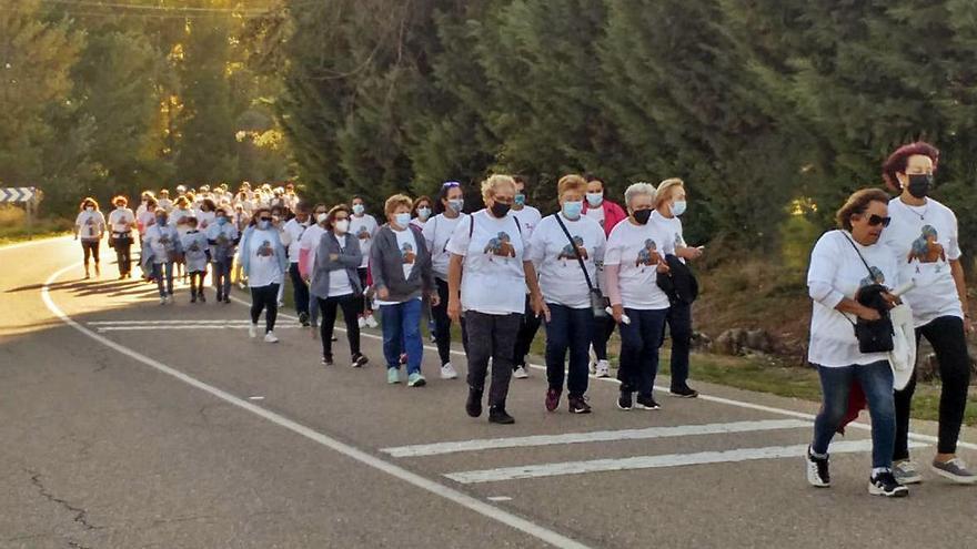 Una marcha en Belver de los Montes recauda dinero para la investigación del cáncer | CEDIDAS