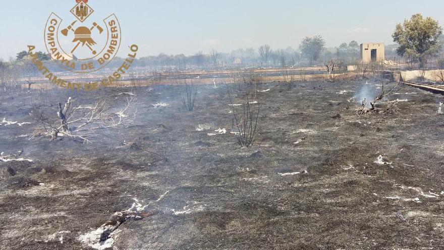 Arden 3,5 hectáreas de matorral y huertos junto a un depósito de gas en Castelló