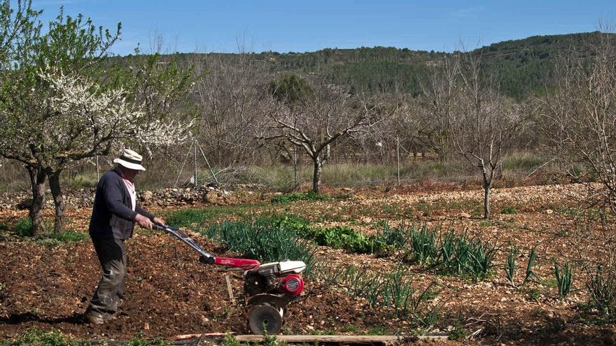 PP y PSOE coinciden en el rechazo frontal a la PAC desde Extremadura, pero la utilizan para retarse