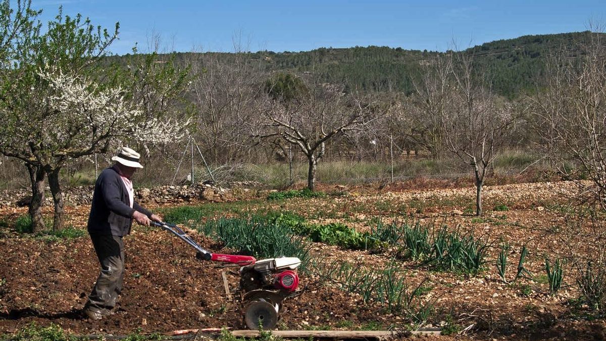 Un agricultor realiza sus tareas agrícolas.