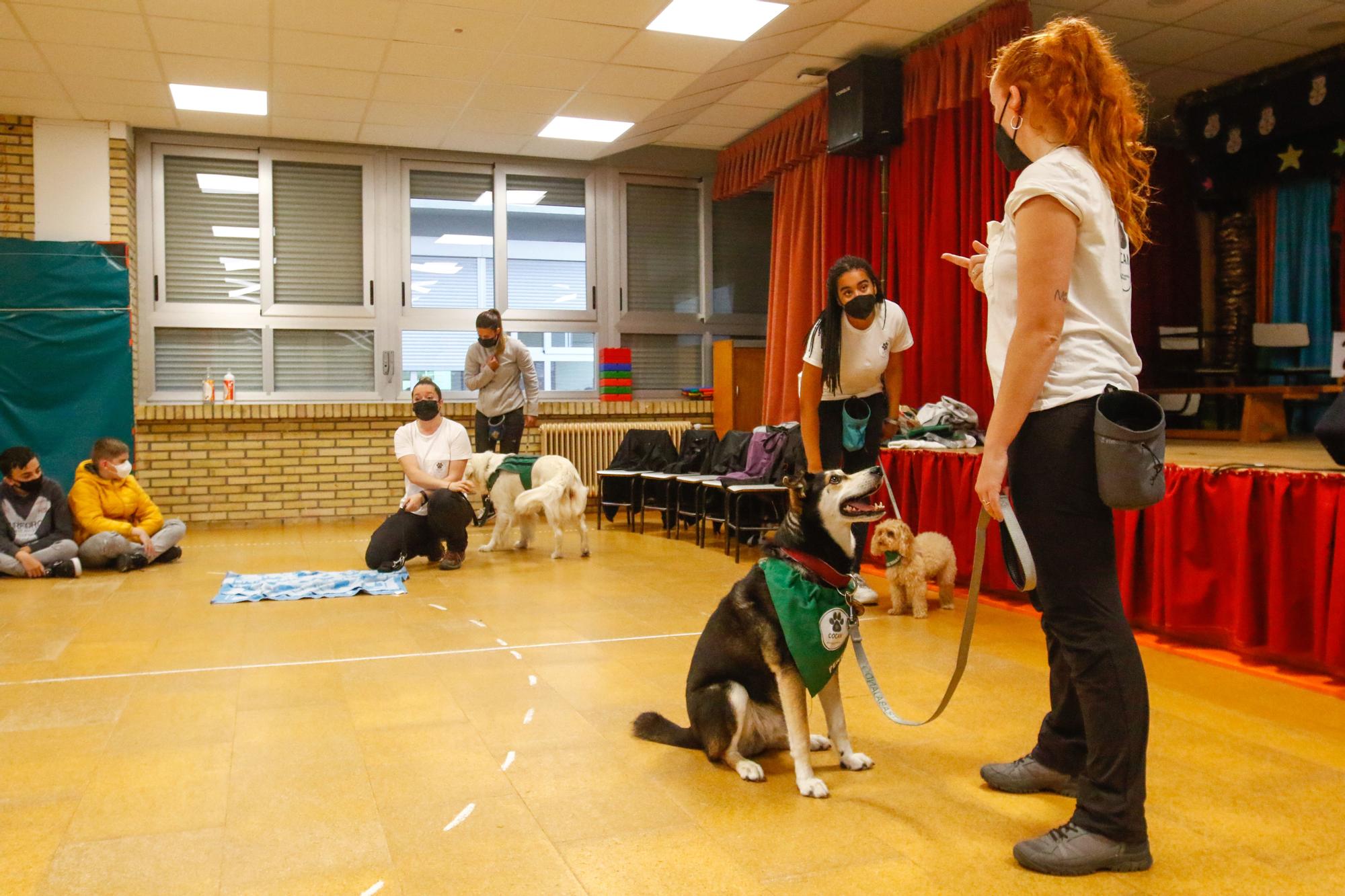 Los alumnos del Arealonga aprenden valores con "profes" caninos