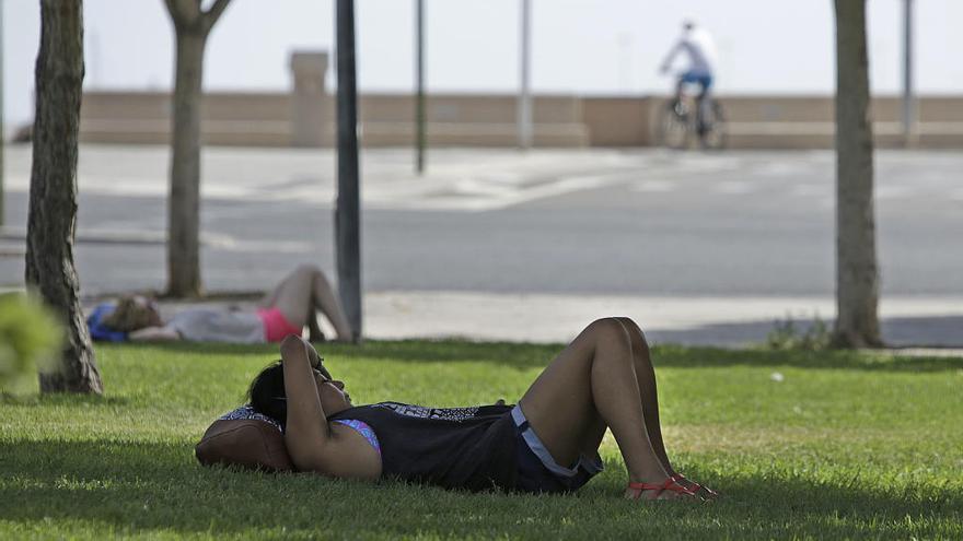 Ola de calor en Mallorca: Temperaturas de 35 a 40 grados hasta el domingo