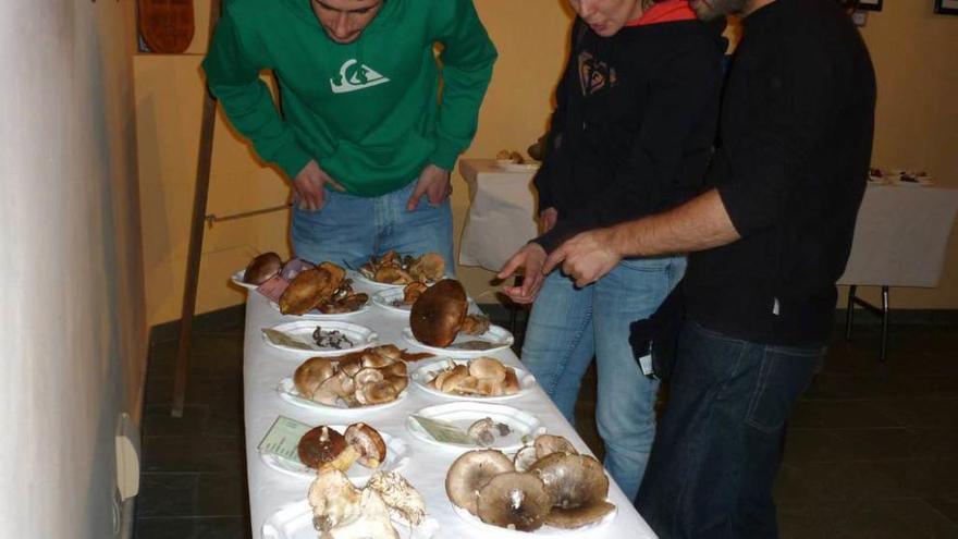 Tres personas, visitando la exposición de setas organizada por Senderuela en una edición anterior.