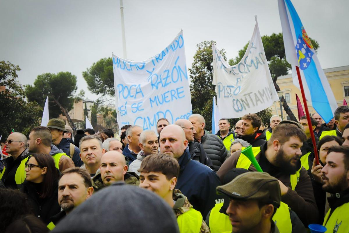 Protesta de los agricultores y ganaderos gallegos en Madrid