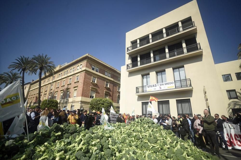 Así ha sido la manifestación de los agricultores en Murcia (II)