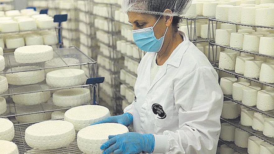 Los quesos de Alimer consiguen cuatro premios en los World Cheese Awards 2022