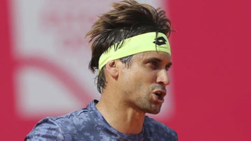 David Ferrer