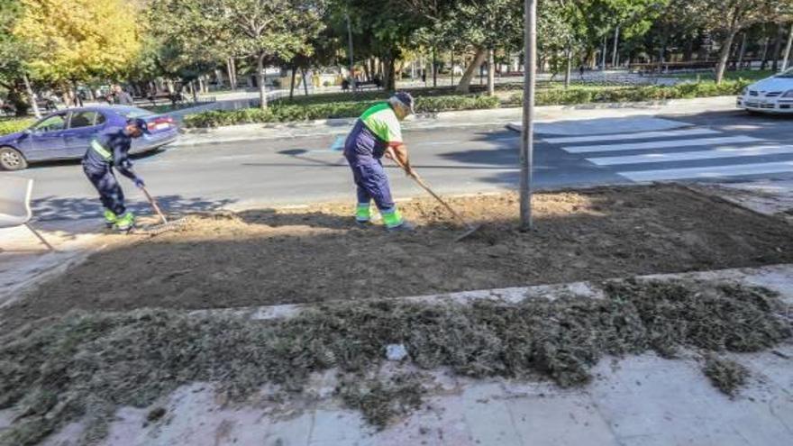 Las jerarquías no se cumplen en los puestos de las brigadas municipales