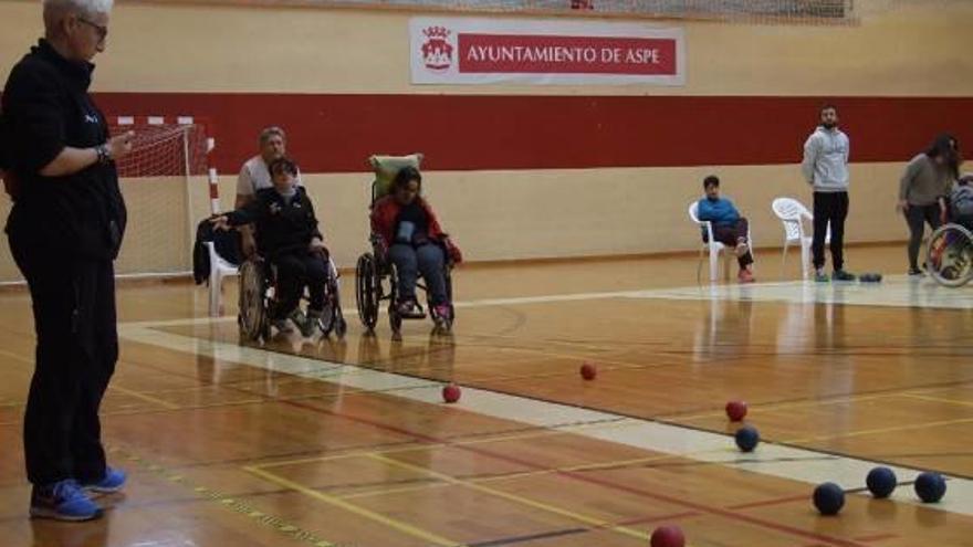 Una de las pruebas de deporte adaptado disputadas en el pabellón municipal deportivo de Aspe.