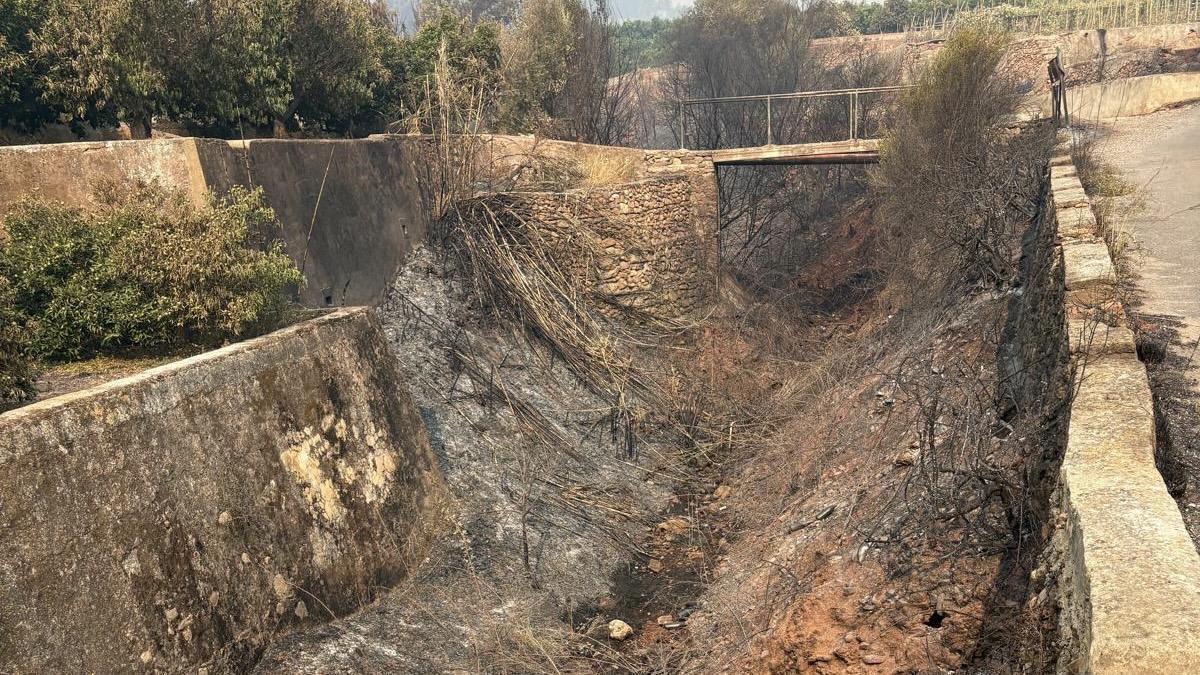 Los cultivos se han visto gravemente afectados por el incendio.