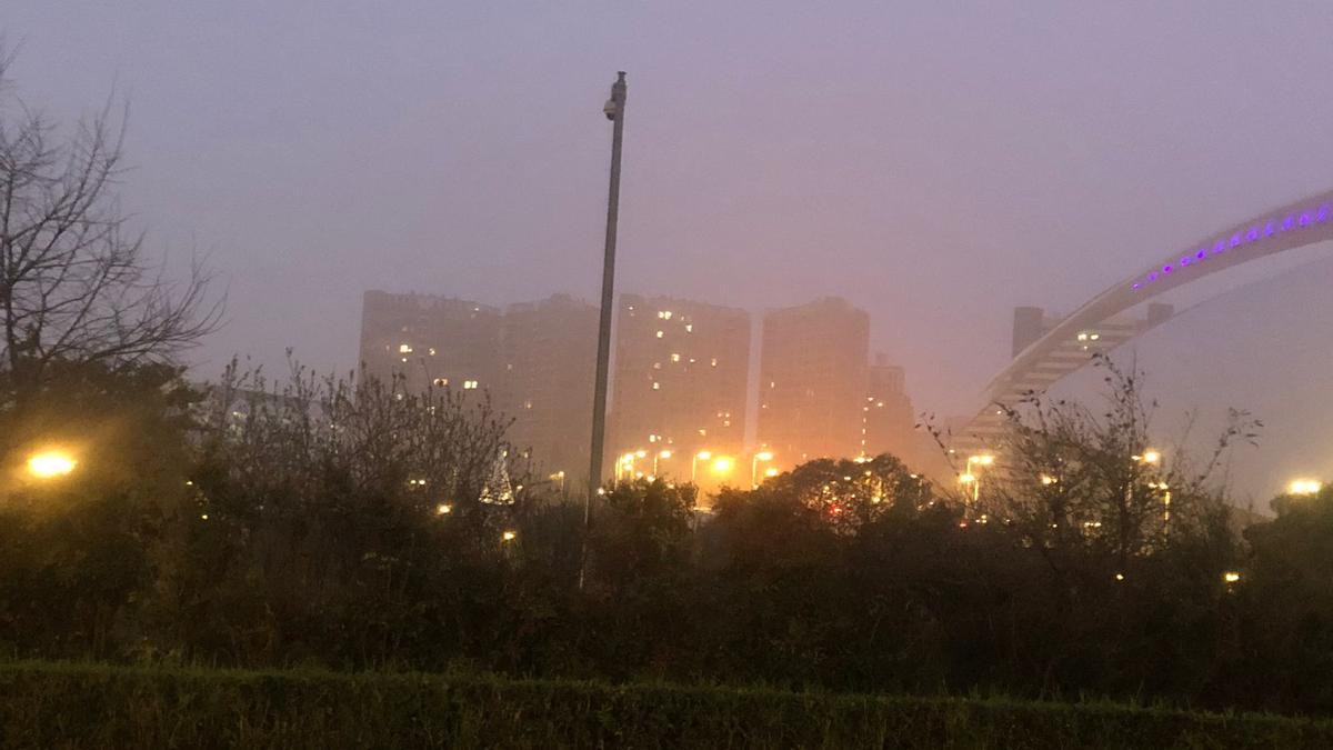 Niebla en València, en la Ciudad de las Artes y las Ciencias, en la mañana de hoy viernes.