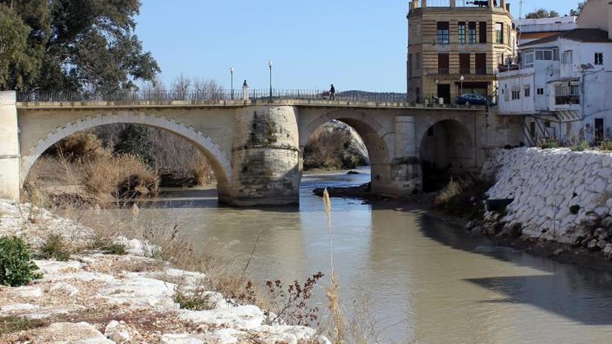 Puente sobre el río Genil, en la localidad pontanesa.