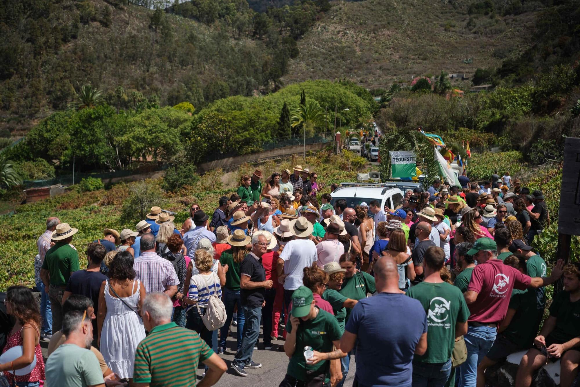 Caravana de la Vendimia de Tegueste