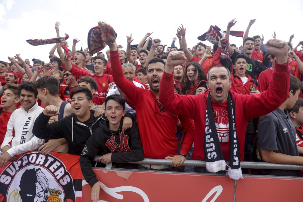 Así ha celebrado la afición el primer puesto del Mallorca