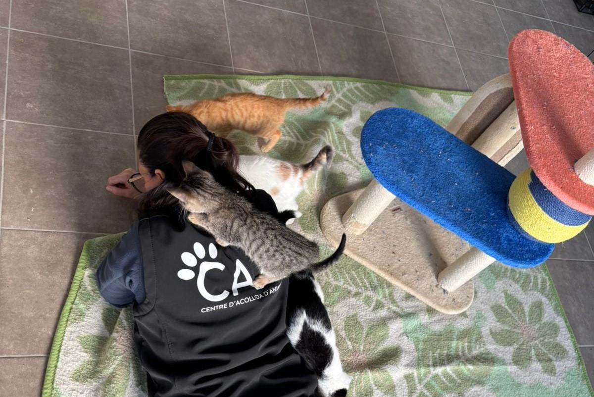 Una trabajadora del centro de acogida mancomunado, en una imagen de archivo.