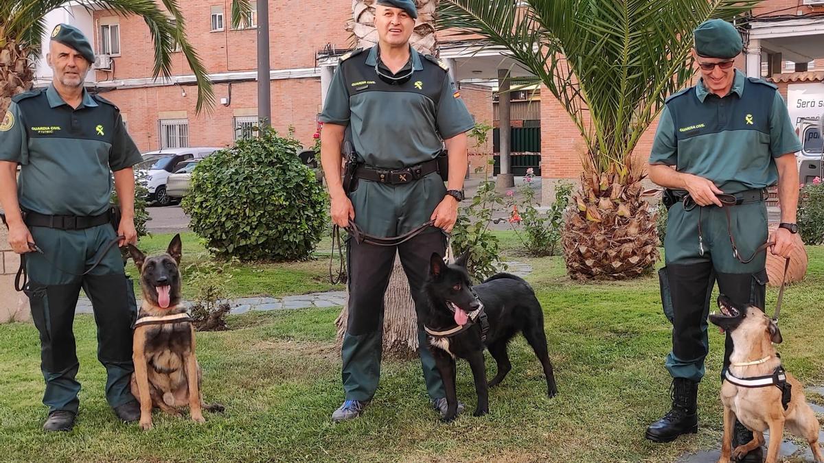 Económico blanco Generosidad Detectar droga, veneno o dinero: la misión de los nuevos perros de la Guardia  Civil en Zamora - La Opinión de Zamora
