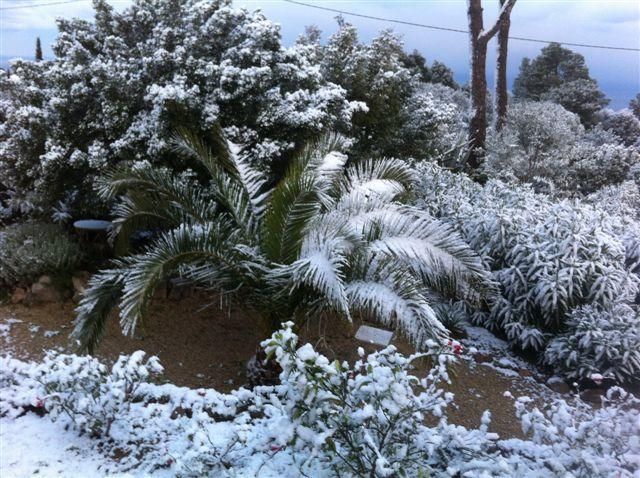 Schnee Mallorca Winter 2017