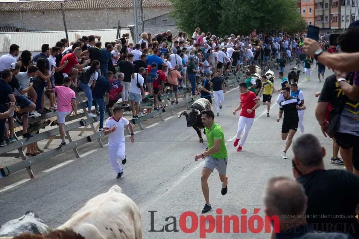 Primer encierro de la Feria del Arroz de Calasparra