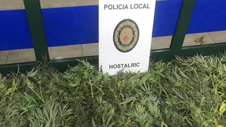 Els agents van trobar 19 quilograms de marihuana tallada i preparada per ser venuda