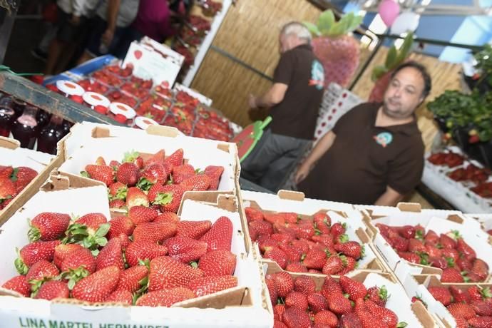 GRAN CANARIA 29-04-2018   VALSEQUILLO.  Feria de ...