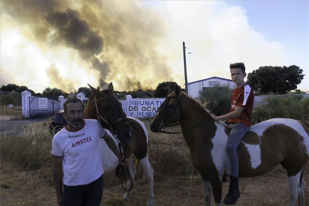 Incendio forestal en Cáceres