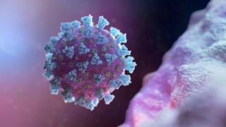 Directo coronavirus | Últimas noticias sobre la pandemia, la vacunación y las restricciones