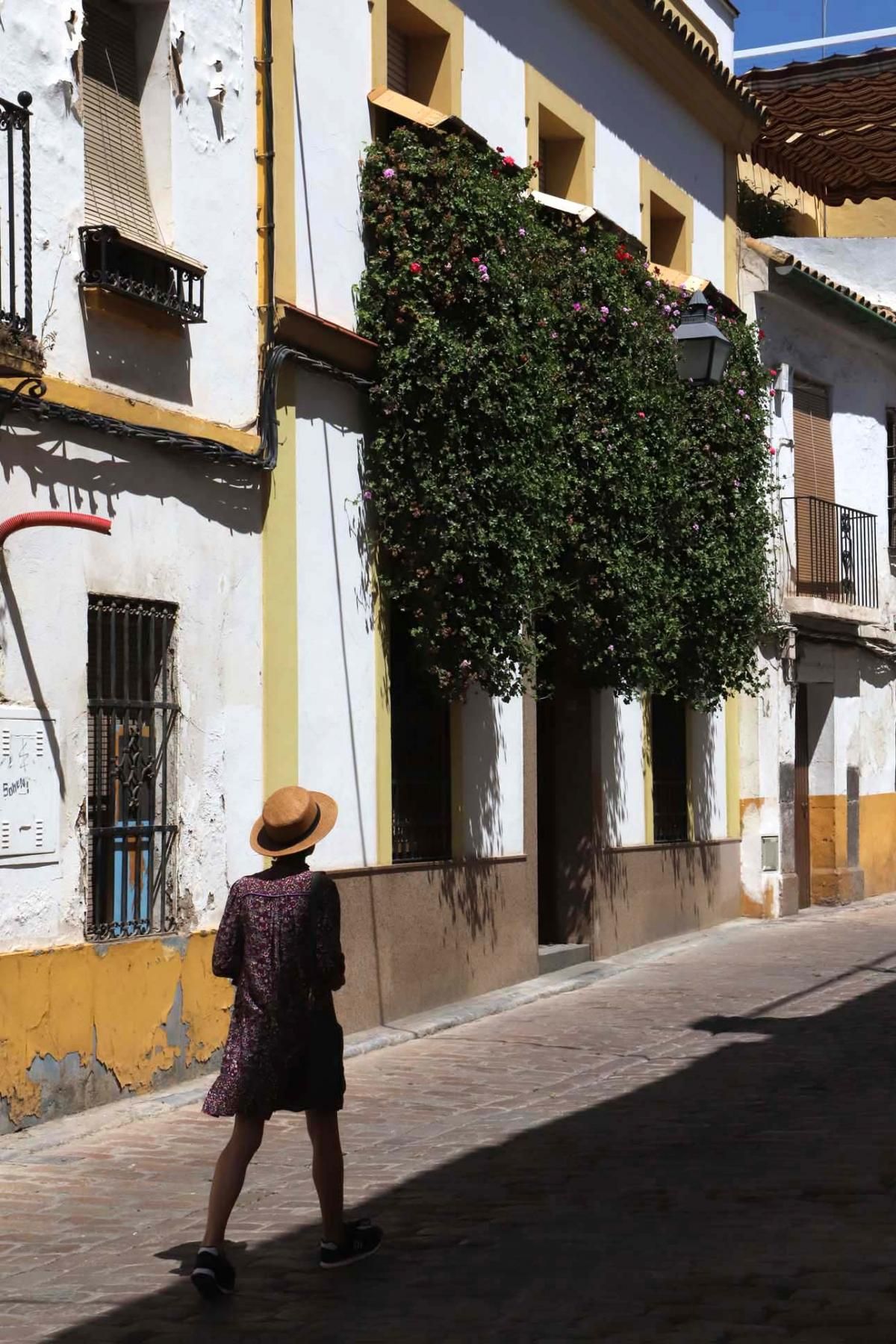 Rejas y balcones en junio