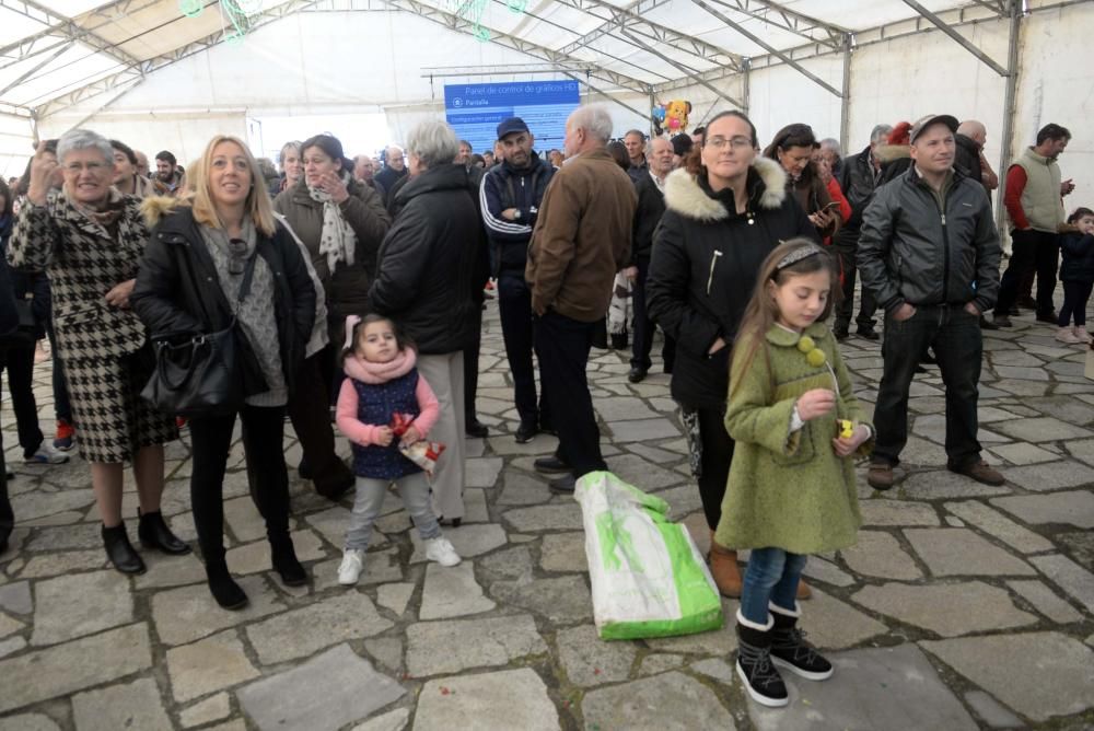 Palomas mensajeras y ofrendas para San Antón