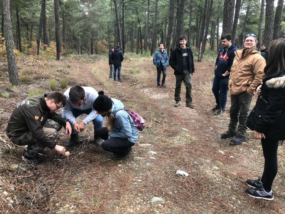 Escuela de naturaleza en el corazón del monte