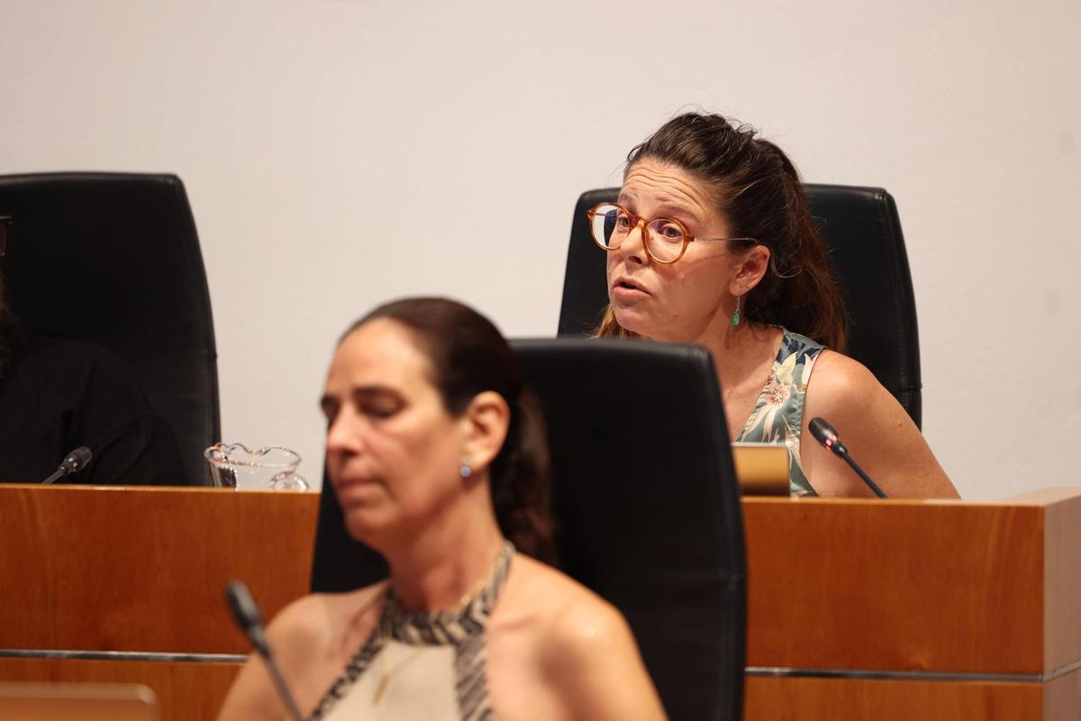 Galería: las imágenes del pleno del Ayuntamiento de Ibiza