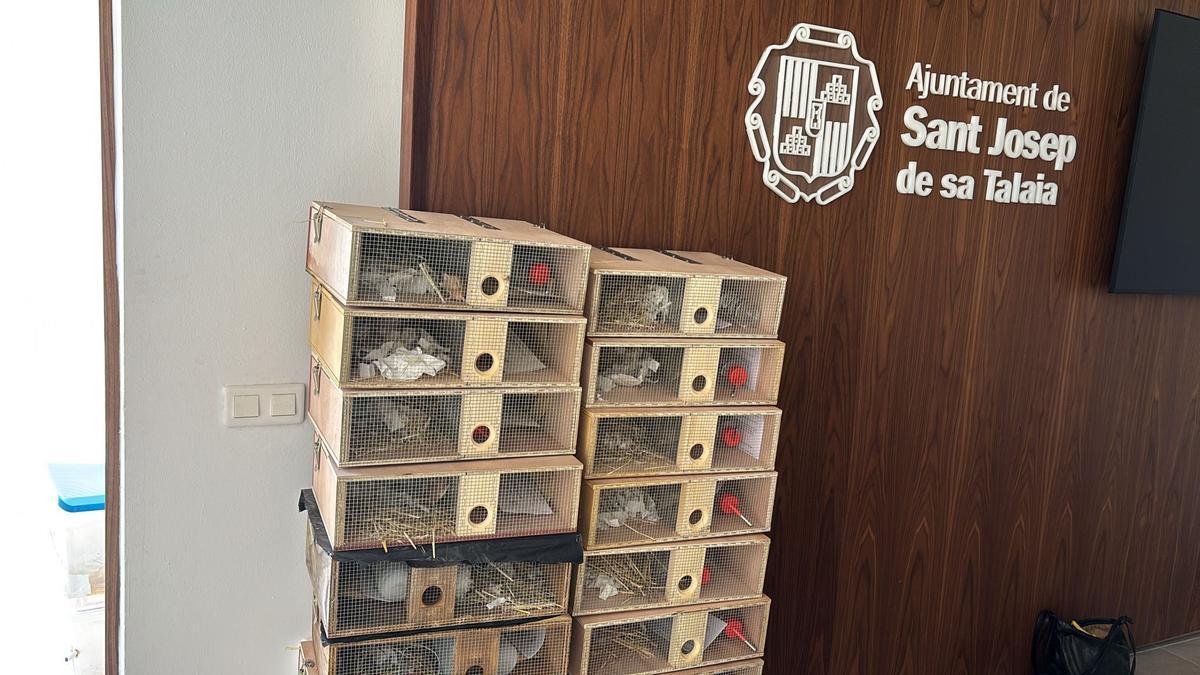 Reparto de trampas de serpientes en Sant Josep