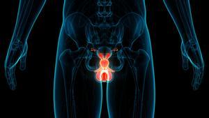 Els experts aconsellen l’autoexploració de testicles per detectar càncer o altres malalties
