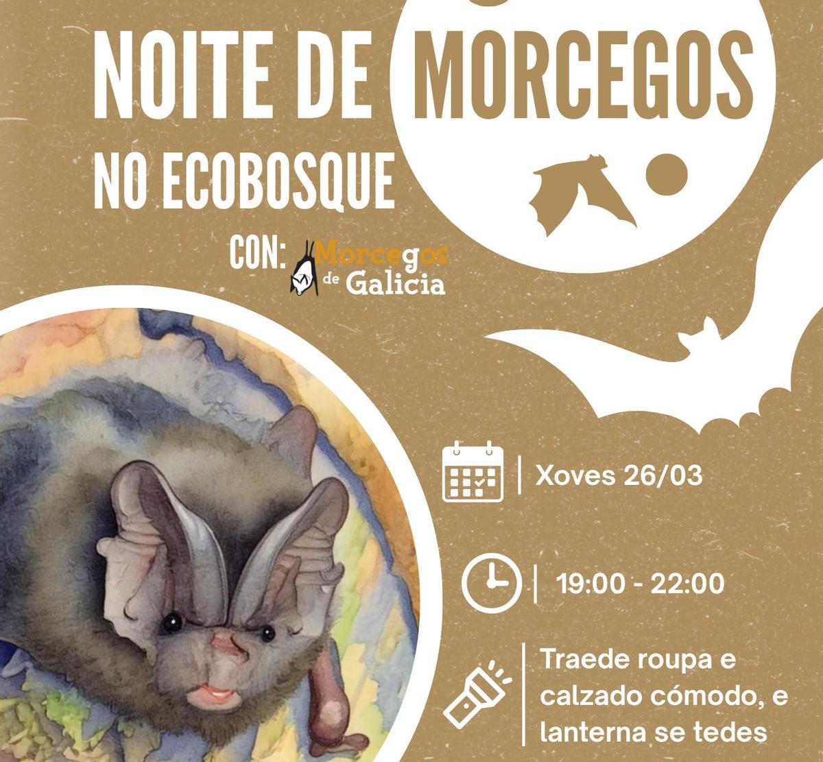 Cartel dunha das actividades da 'Primaver EcoBosque' en Conxo