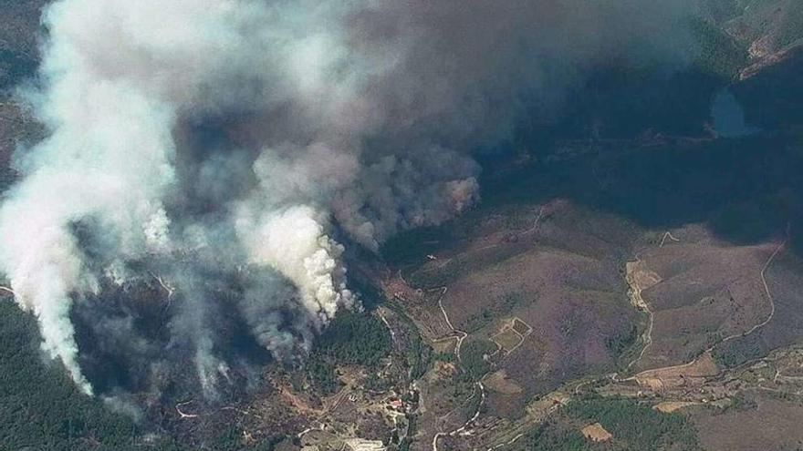 Más de 5.000 hectáreas de monte y pino se quemaron en el incendio en Acebo. // Efe