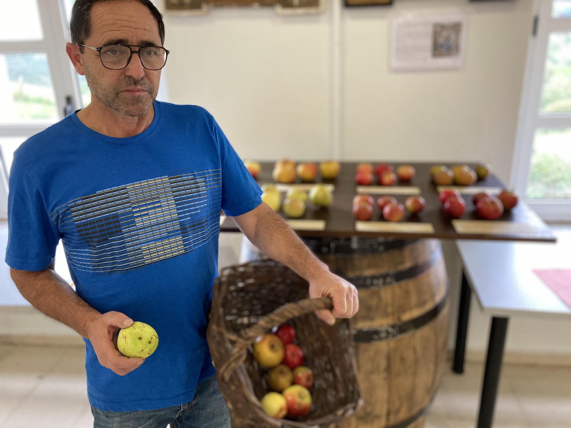 Muñó reivindica sus variedades de manzana: "Se están perdiendo"