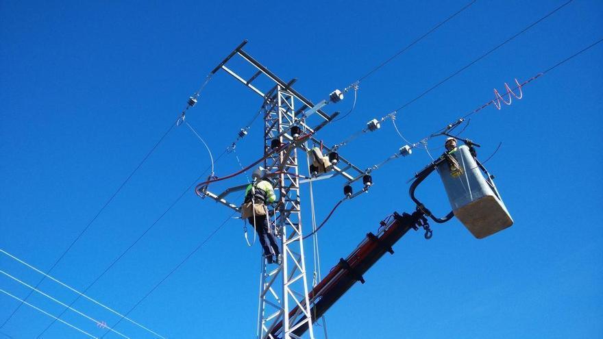 Más protección para las aves en las torres eléctricas de la Región
