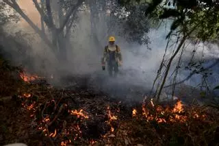 Fallecen dos personas que trabajaban en la extinción de un incendio en São Paulo