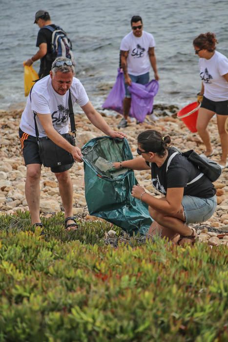 Limpieza del palmeral de Ferrís en Torrevieja