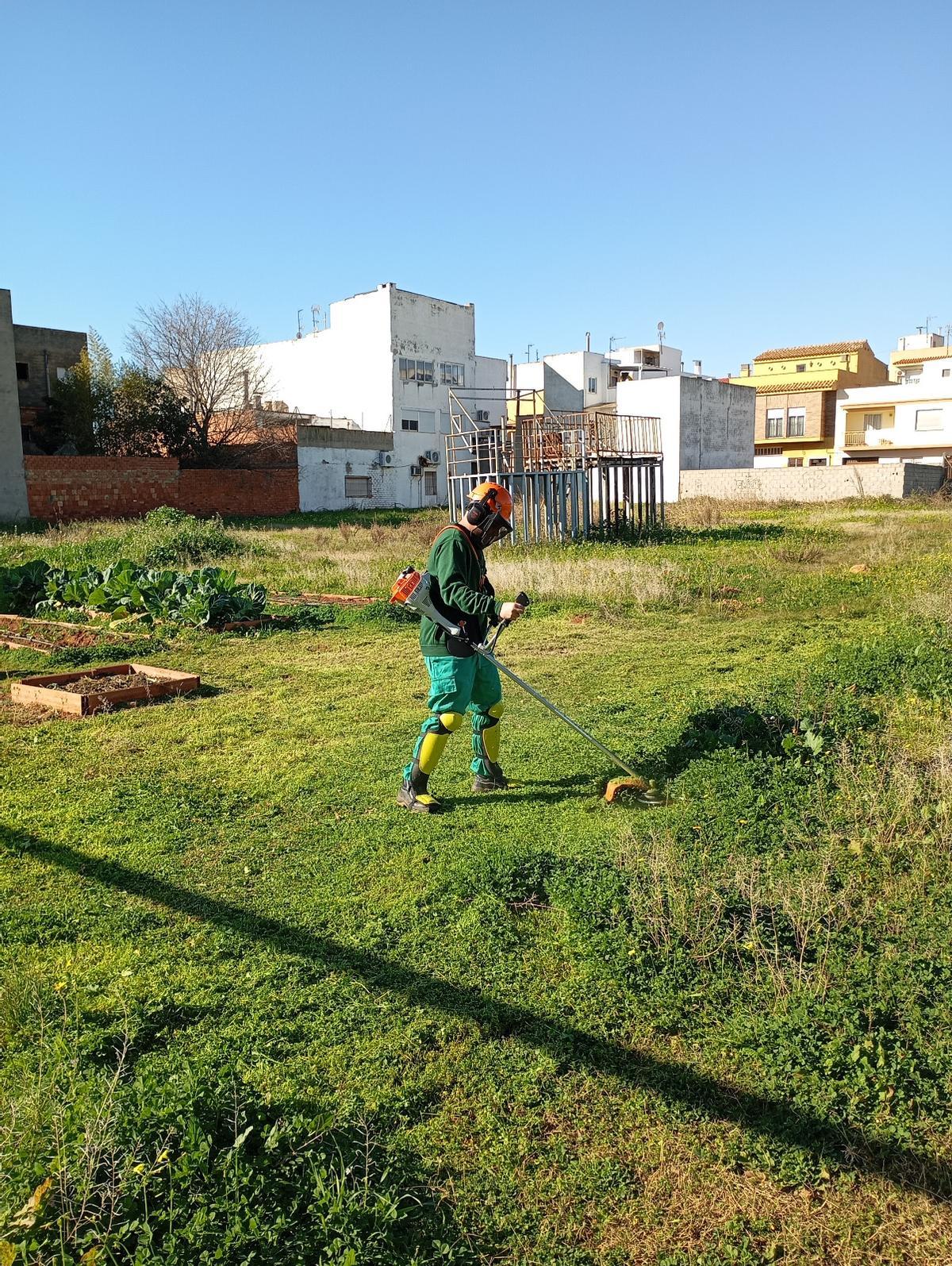 FP Básica de Jardinería en el instituto escuela Maestro Carlos Selma de Castelló de la Plana