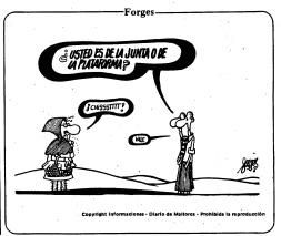 Forges en Diario de Mallorca