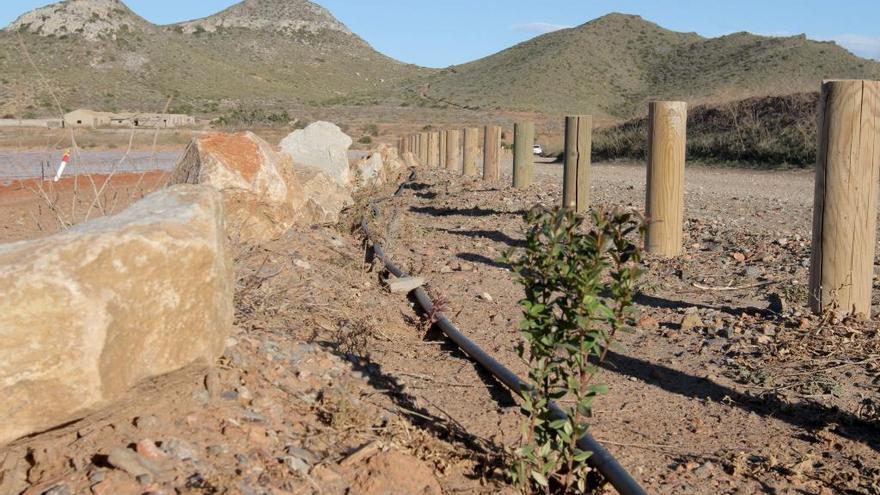 Barreras naturales ya instaladas en el Campode Cartagena.