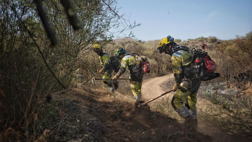 Un &quot;descuido&quot; humano es el origen más probable del incendio de Tenerife, según Rosa Dávila