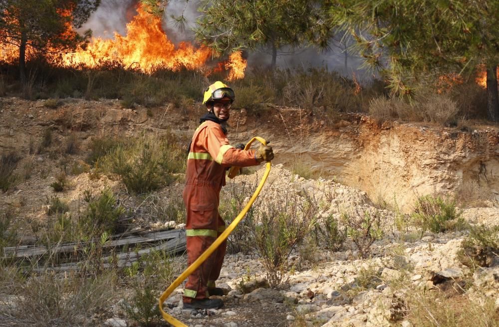 Incendio forestal en Carcaixent