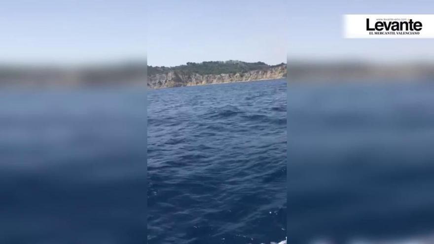 Avistan ballenas junto a los acantilados de Xàbia