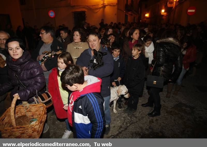 GALERÍA FOTOS - La provincia celebra Sant Antoni